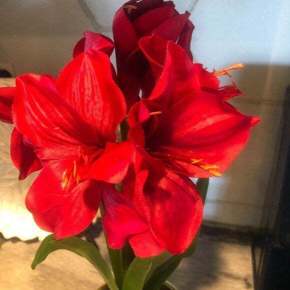 THRESHOLD CHRISTMAS ARTIFICIAL RED AMARYLLIS IN GOLD POT NEW - Picture 3 of 6